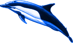 Blue Dolphin Pools of San Diego Logo